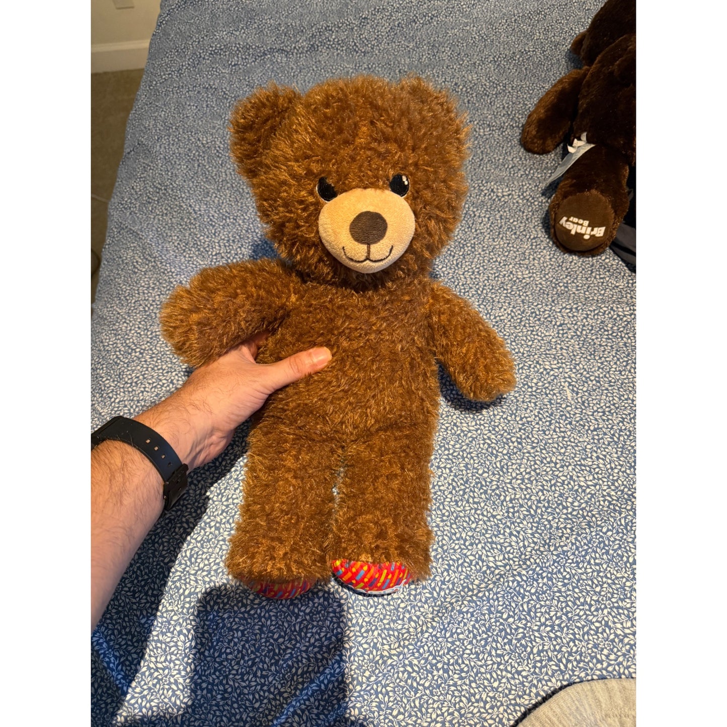 Build-A-Bear Workshop Happy Birthday Plush Brown Teddy Bear Stuffed Animal Toy